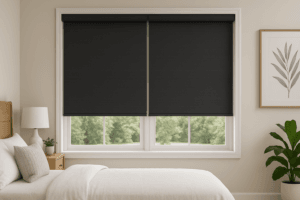 Read more about the article 10 Best Blackout Shades of 2024